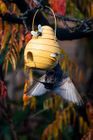 Hand crafted Bird Feeder